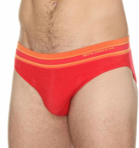 Трусы мужские слипы Active Wool шерсть, красный
