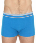 Трусы мужские Боксеры Active Wool шерсть, голубой