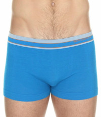 Трусы мужские Боксеры Active Wool шерсть, голубой