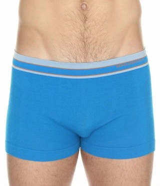 Трусы мужские Боксеры Active Wool шерсть, голубой