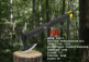 Топор Firebird FSA02-YE черно-желтый - Топор Firebird FSA02-YE черно-желтый