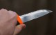 Нож Morakniv Companion F Serrated, нержавеющая сталь, 11829 - Нож Morakniv Companion F Serrated, нержавеющая сталь, 11829