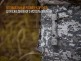 Фонарь Fenix PD35 V2.0 Camo Edition Cree XP-L HI LED - Фонарь Fenix PD35 V2.0 Camo Edition Cree XP-L HI LED
